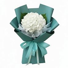 Букет цветов из:  Гортензия #REPLACE_PRED# Кратово